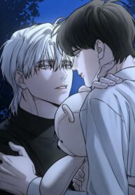 dear-teddy-bear-193×278