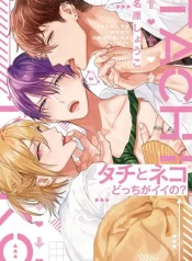 449404168-483033160915339-4328471119723503283-n (1)