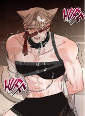 3fe90052-c0b1-4983-bca2-b1861dd9f645